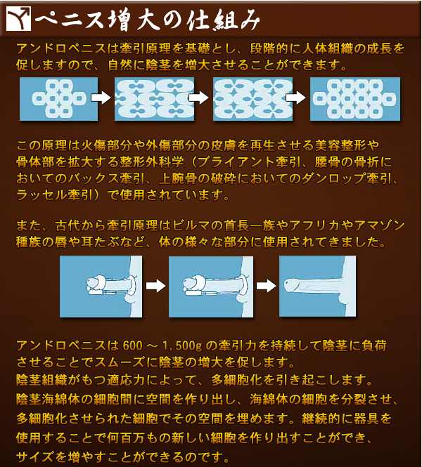 アンドロペニスゴールドが安いのは